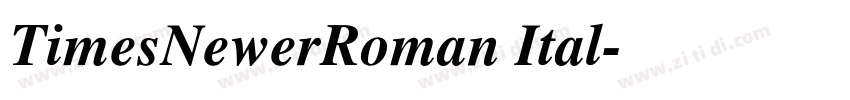 TimesNewerRoman Ital字体转换